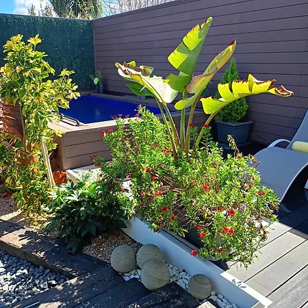 Norte De Santillana -