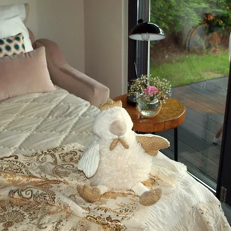 Norte De Santillana - *