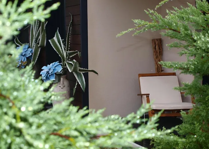 Norte De Santillana -