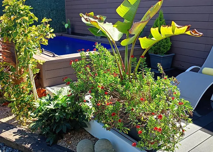 Norte De Santillana -