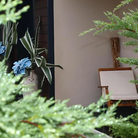 Norte De Santillana -