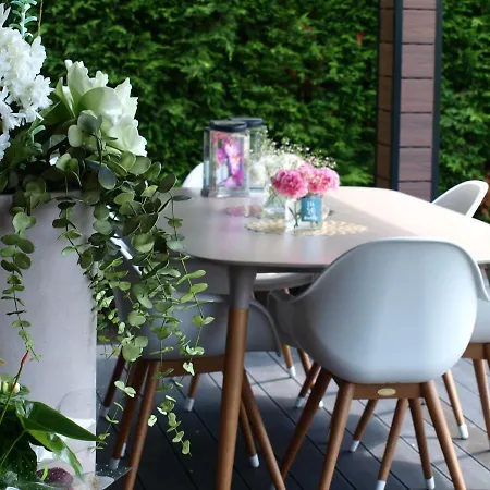 Norte De Santillana -